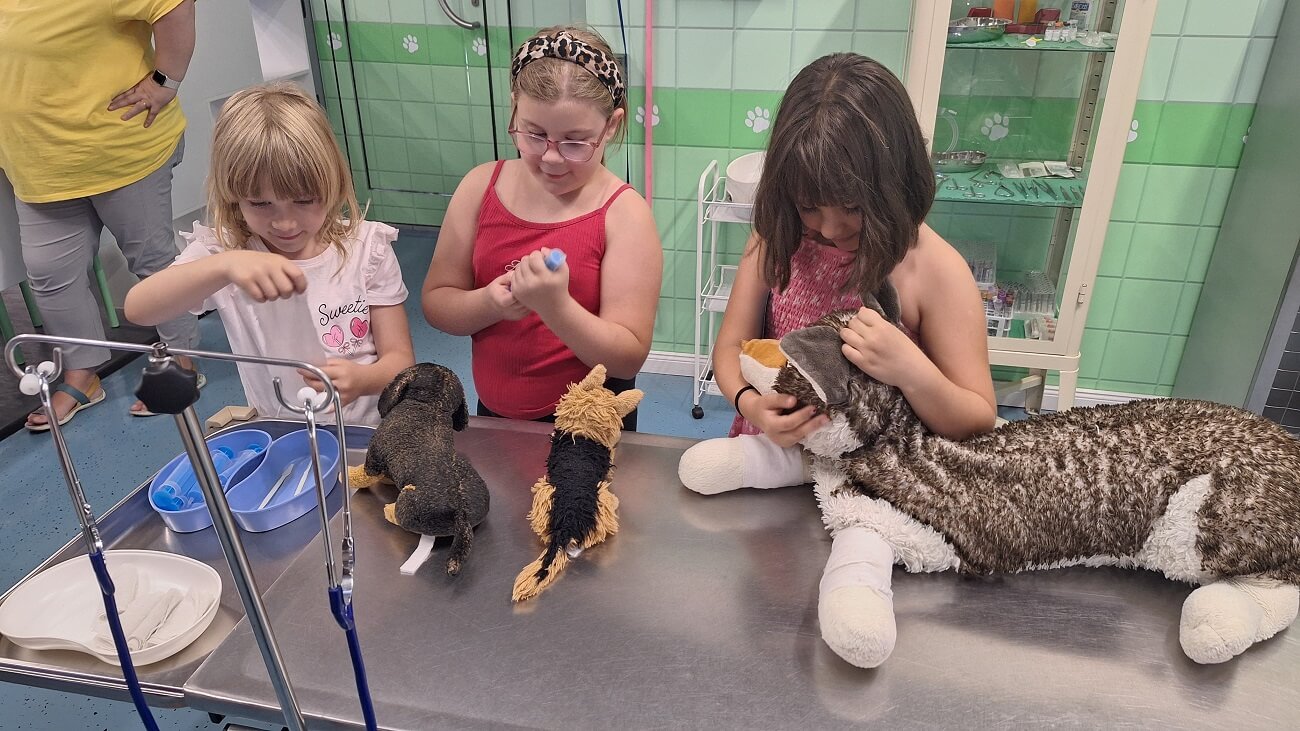 “Hősök születése – a SZIVI mesetábor élményei”